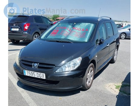 1595 DGX, Peugeot 307