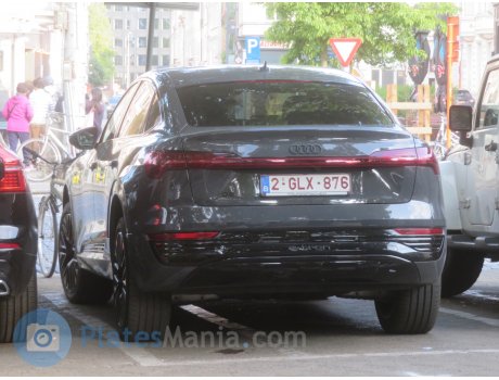 2-GLX-876, Audi Q8