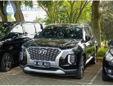B 483 ALI, Hyundai Palisade