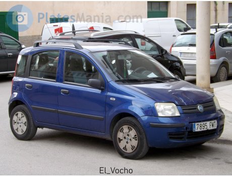 7895 FMT, FIAT Panda