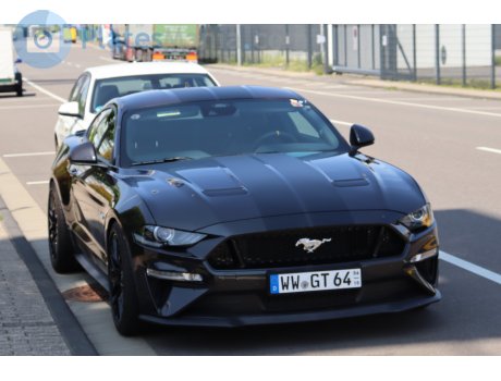 WW GT 64 (04/10), Ford Mustang