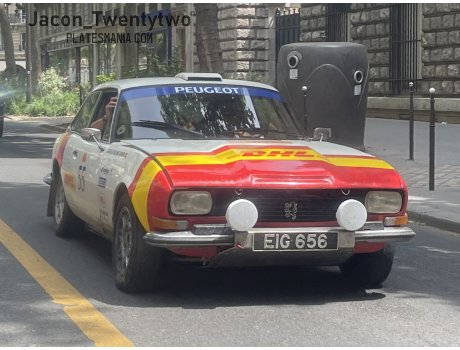 EIG 656, Peugeot 504