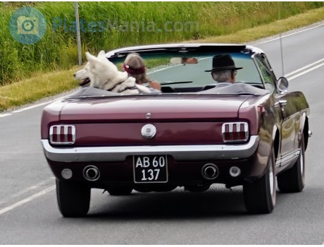 AB 60.137, Ford Mustang