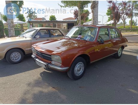 LE 0551 G, Peugeot 504