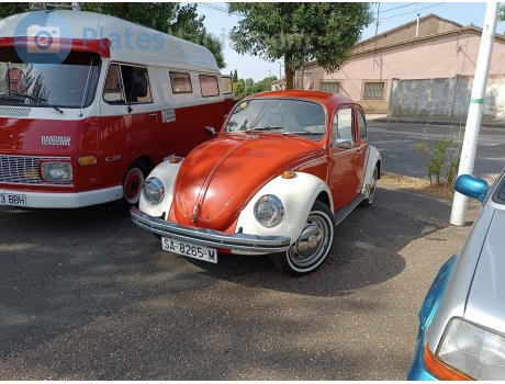 SA 8265 M, Volkswagen Beetle