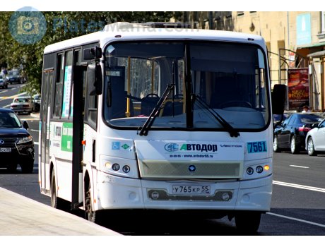 у765кр55, PAZ 3203/3204