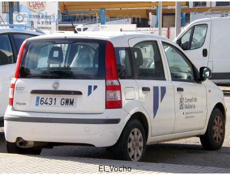 6431 GWM, FIAT Panda