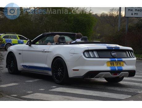V8 TFV, Ford Mustang
