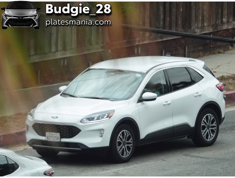 8ZTT258, Ford Escape