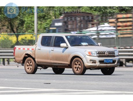 津A·PG968, DongFeng Rich