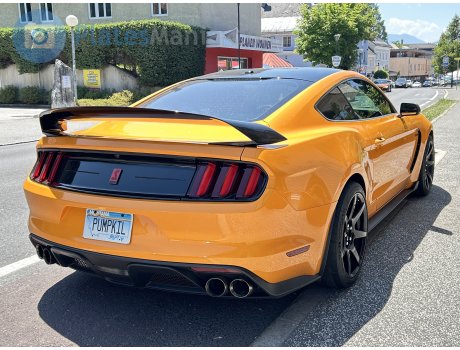 PUMPKIL, Ford Mustang