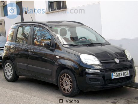 6803 HXL, FIAT Panda