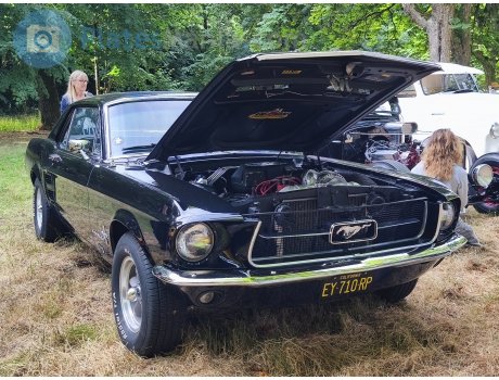 EY-710-RP, Ford Mustang
