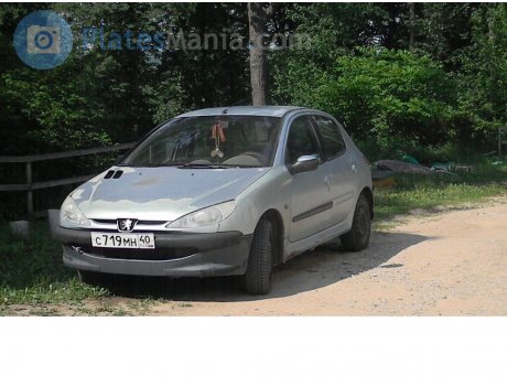с719мн40, Peugeot 206