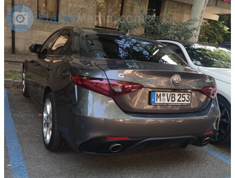 M VB 253, Alfa Romeo Giulia