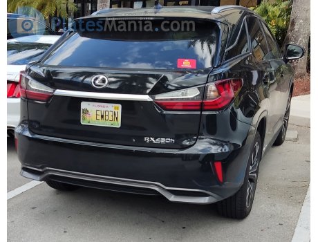 EW83N, Lexus RX