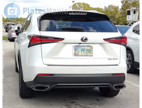 PF2RE, Lexus NX
