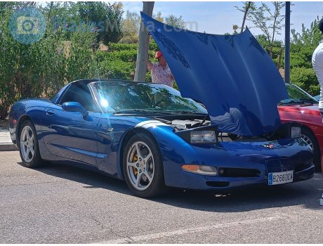 8266 DCV, Chevrolet Corvette