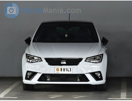 R 8143, SEAT Ibiza