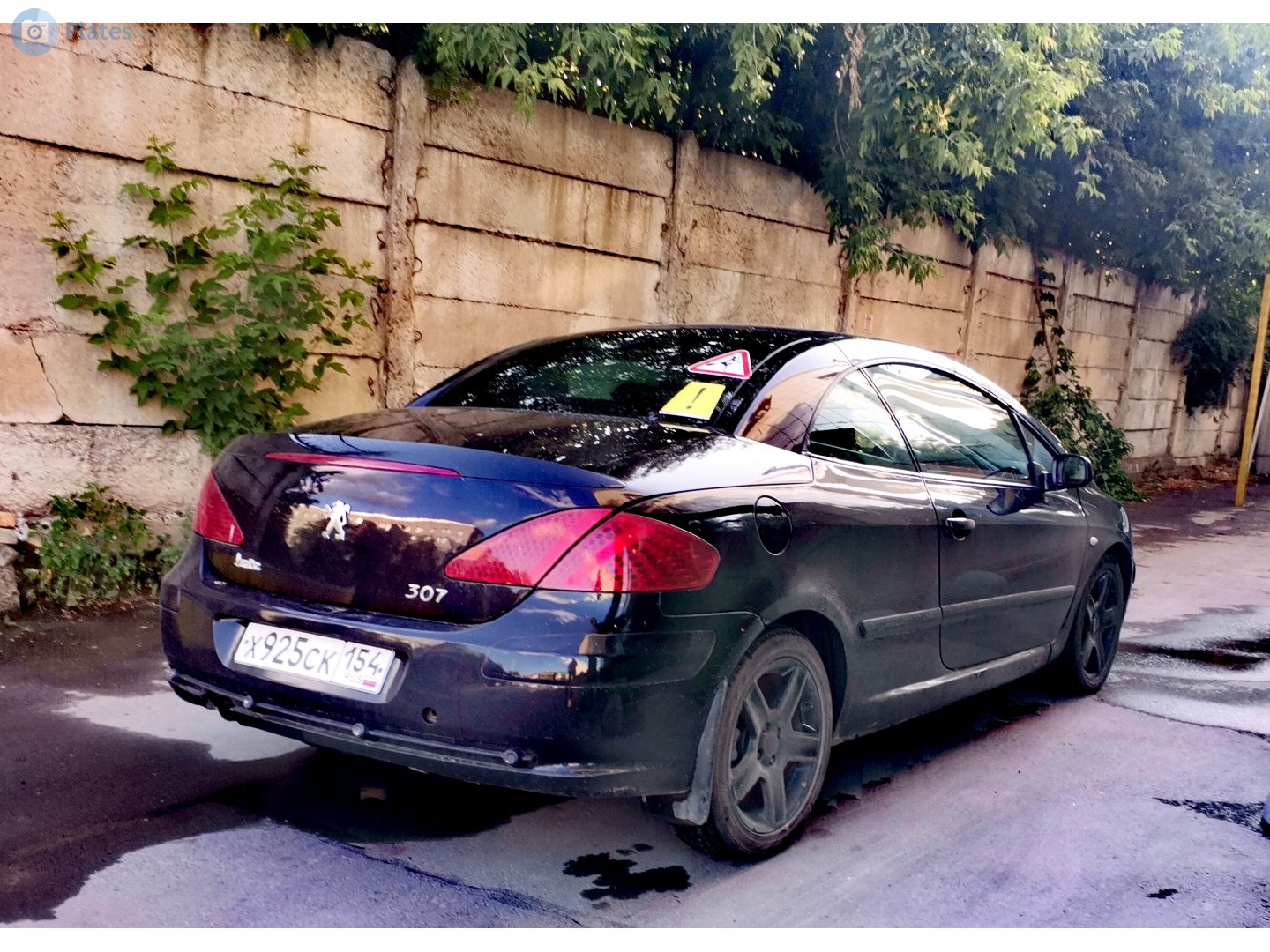 х 925 ск 154, Peugeot 307 