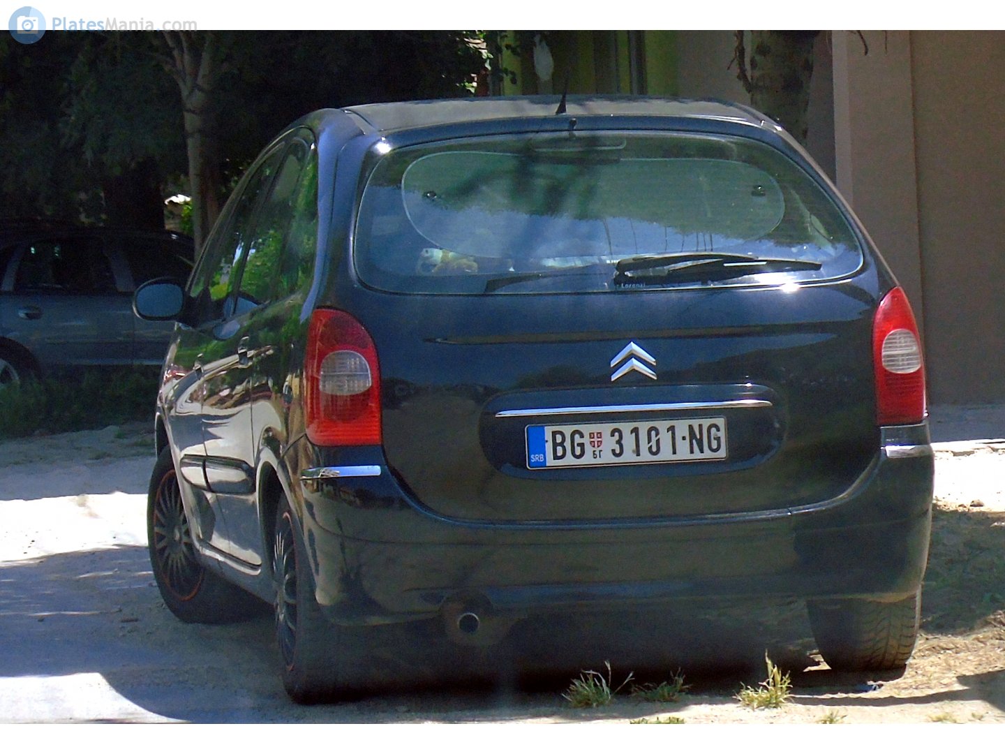 BG 3101-NG, Citroёn Xsara Picasso 1st gen (N68), 1999–2010 (–2012 for LATAM-market)