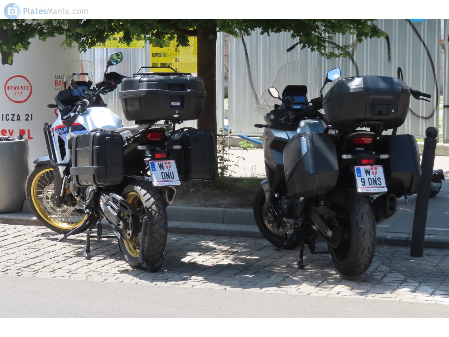 W 9 DNS, Regular plates 