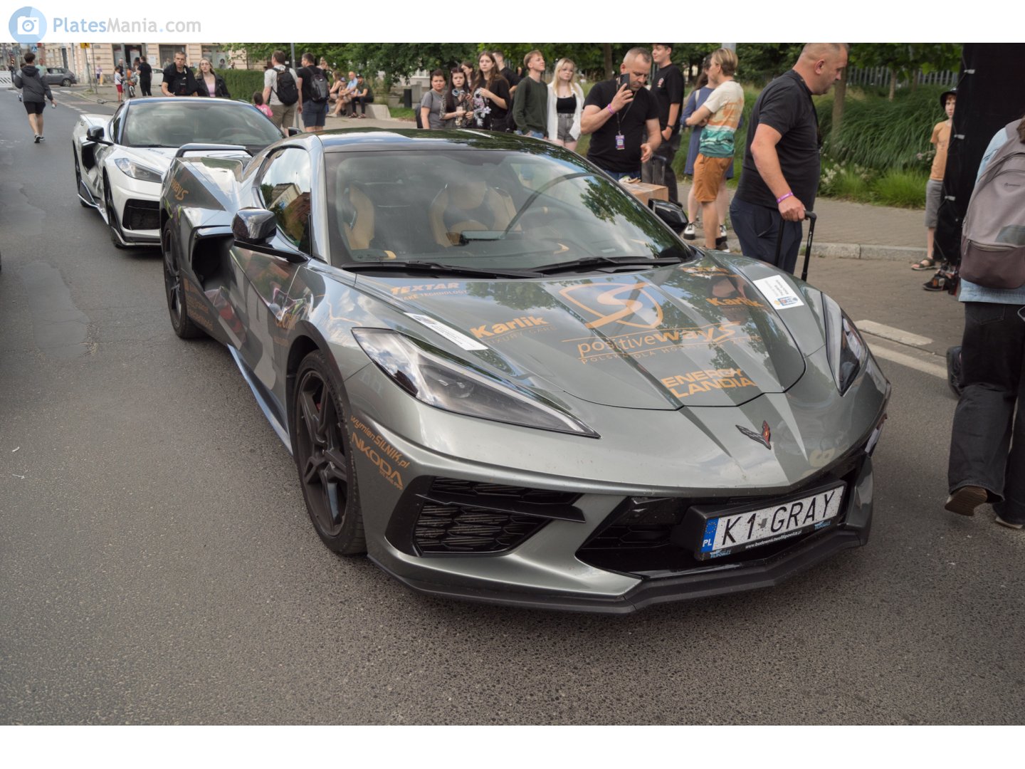 K1 GRAY, Chevrolet Corvette 