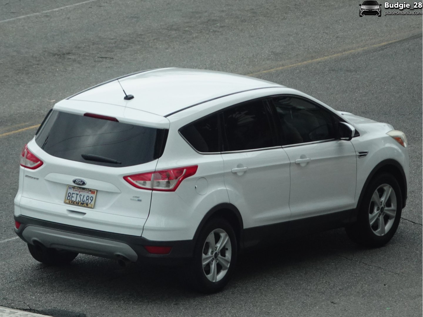 8ETS489, Ford Escape 3rd gen (C520), 2012–2016