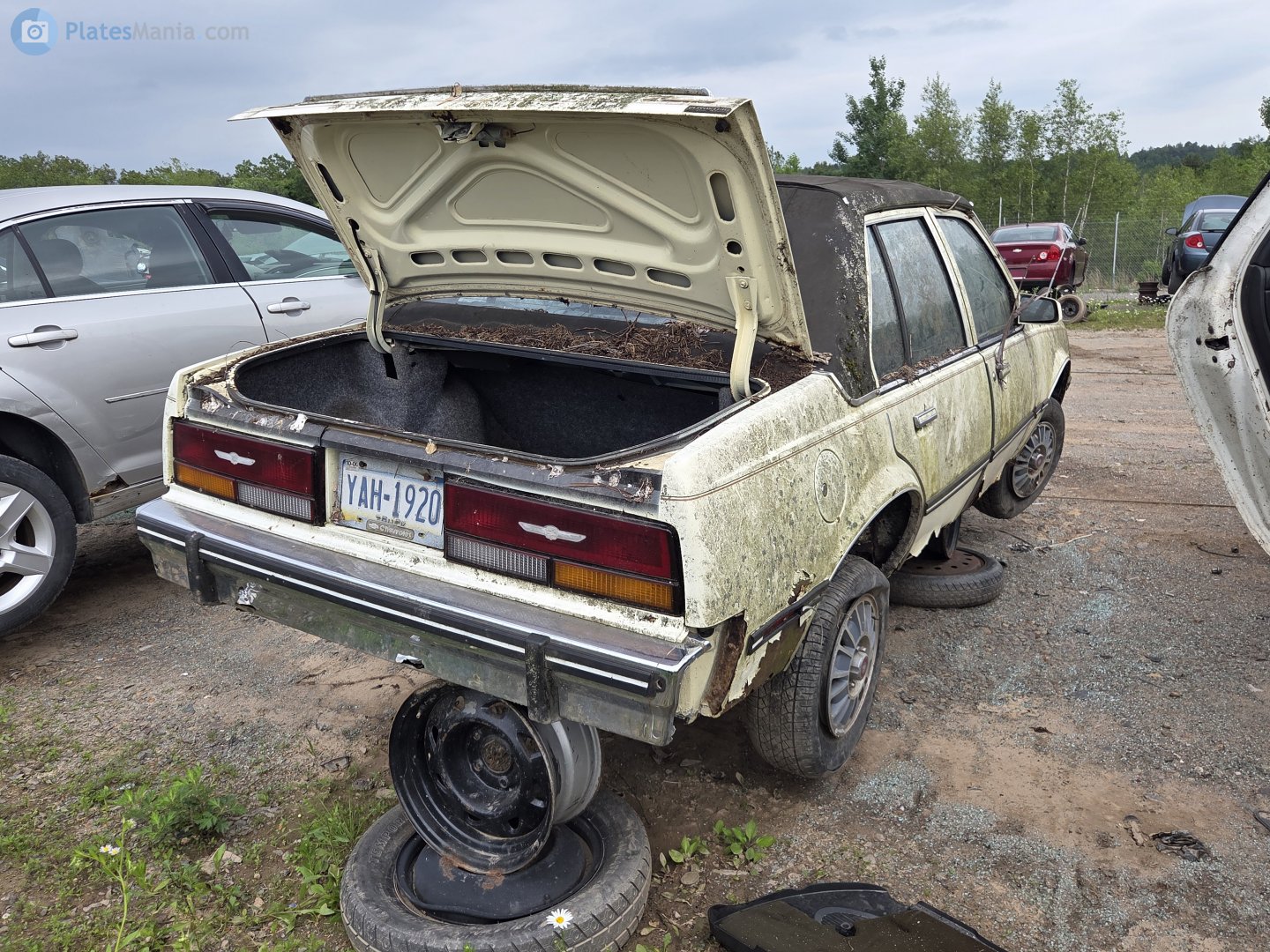 YAH-1920, Cadillac Cimarron 1st gen (G69; J-body), 1982–1988
