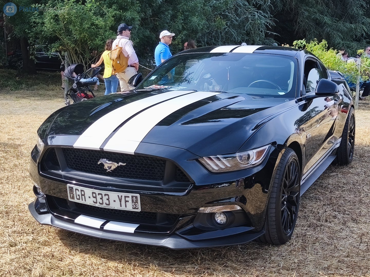 GR-933-YF, Ford Mustang 6th gen 2-door Coupé (S550), 2014–2017