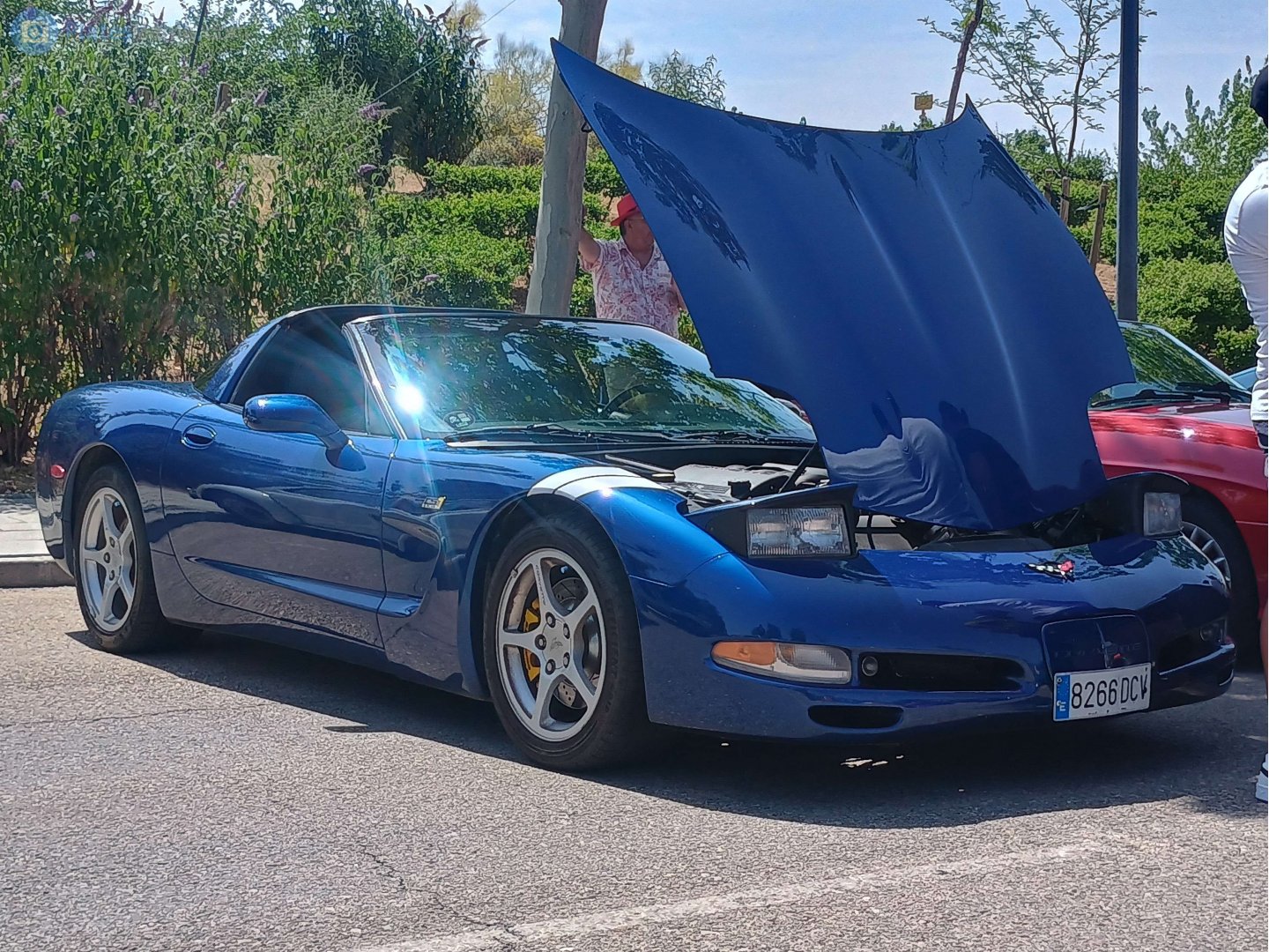 8266 DCV, Chevrolet Corvette 5th gen Targa (C5; Y-body), 1996–2004