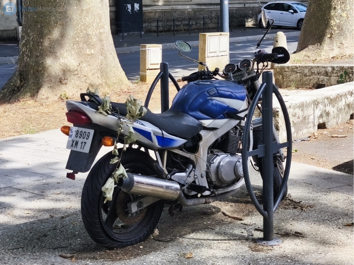 8909 XM 17, Suzuki GS Series 