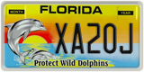 Florida, Specialty plates (XXXXX)