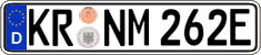 German license plate, Electric vehicles