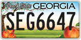 Georgia, ABC 1234