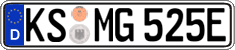 German license plate, Electric vehicles