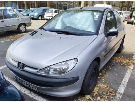 8697 RZ 65, Peugeot 206