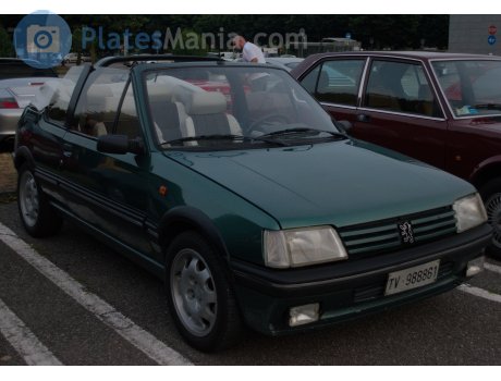 TV 988861, Peugeot 205