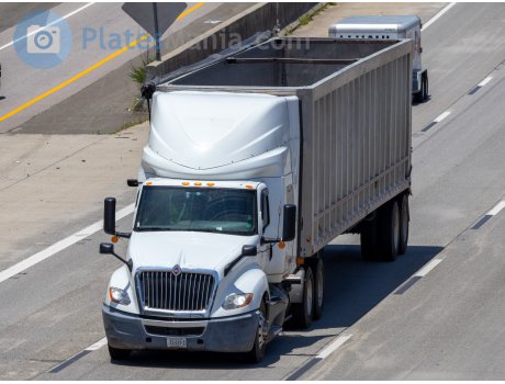32-619 P/Z, International LT Series