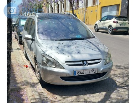 8441 DPJ, Peugeot 307