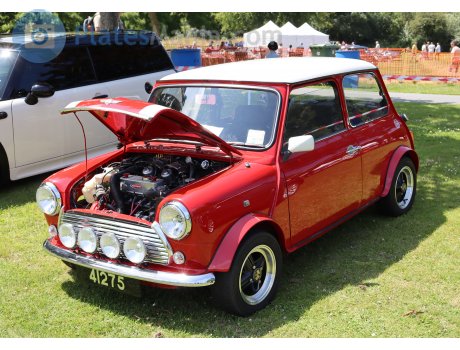 41275, MINI Classic