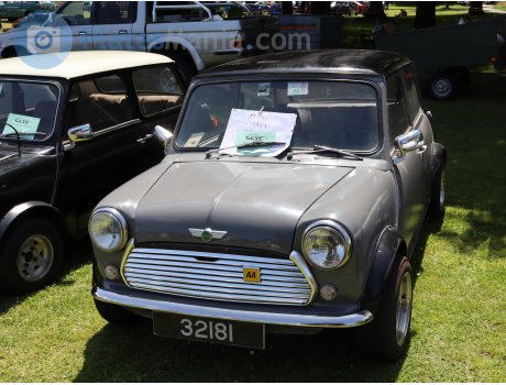 32181, Rover Mini