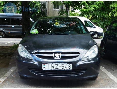 IWZ-548, Peugeot 307