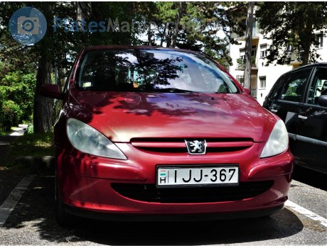 IJJ-367, Peugeot 307