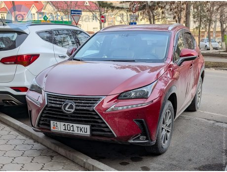 01 101 TKU, Lexus NX