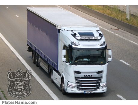EU MT 454, DAF XG