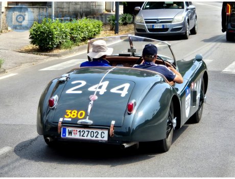 W 12702 C, Jaguar XK140
