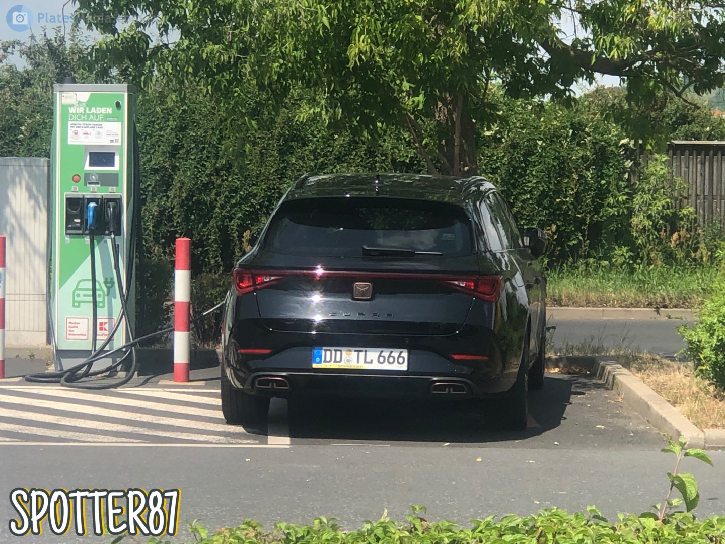DD TL 666, Cupra León 