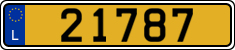 21787