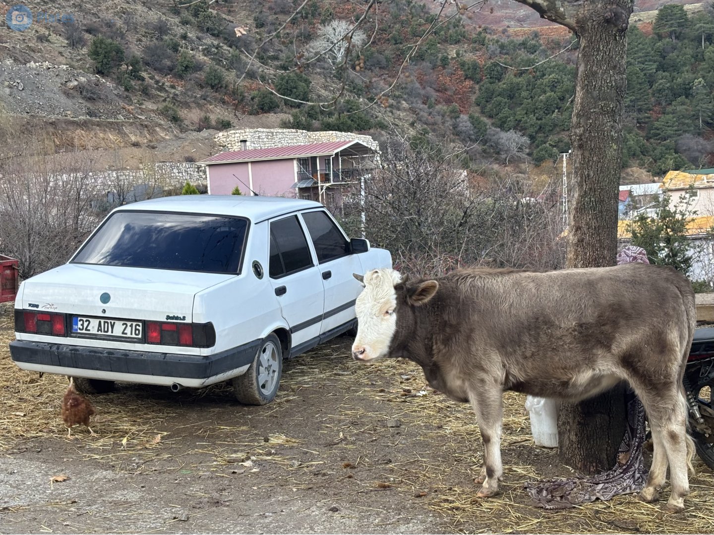 32 ADY 216, Tofaş Murat 131 (Şahin) Facelift, 1988–2010
